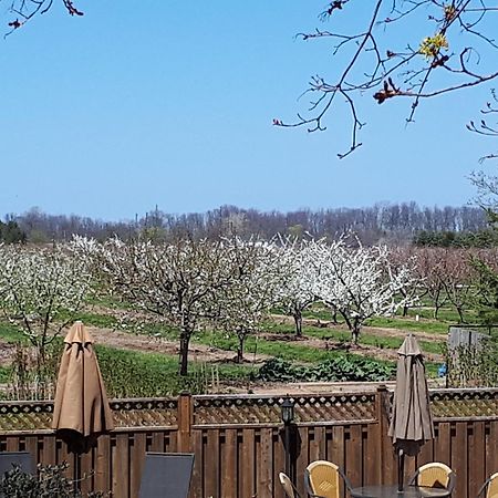 مبيت وإفطار Niagara-on-the-Lake A Li'L Bit Of Eden المظهر الخارجي الصورة